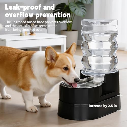 RIZZARI 7L Raised Dog Water Dispenser: Stable Base Design