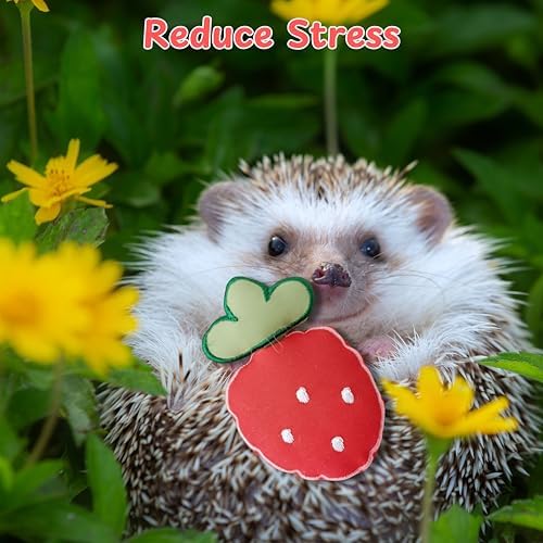 Hedgehog Snuggle Sack, Hanging Fleece Hideout and Sleeping Pouch with Soft Rest Pad for Hedgehogs, Hamsters, Guinea Pigs, Rats, Ferrets & Sugar Gliders (Strawberry, M)