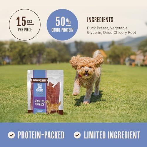 Waggin' Train Duck Jerky Dog Treats for Dogs with Sensitive Stomachs, Made with 100% Real Duck Breasts, Three All-Natural Ingredients, High Protein Dog Treat, Easily Digestible for Dogs, 12 oz. Pouch