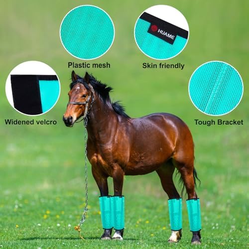 Horse Fly Boots, Breathable Mesh Protection Set of 4, Comfortable Horse Leggings, Breathable Mesh Design, Equine Supplies for Reduce Stomping, Hoof Damage & Leg Fatigue (Green, Large)