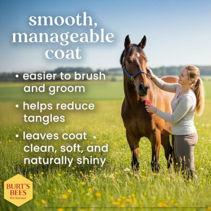 Burt's Bees for Horses Detangling Shampoo, with Coconut Oil, 32 Oz
