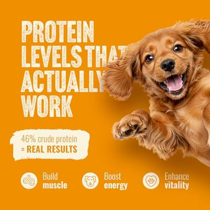Natural Farm High Protein Dry Dog Food for All Life Stages with Collagen, Every Bag Contains 70% Real Chicken and 30% Ancient Super Food Grains, Complete and Balanced Nutrition, 22.5Lb Bag.