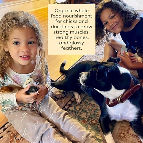 Scratch and Peck Feeds | Starter Mash for Chickens & Ducks | 50 lb Bag