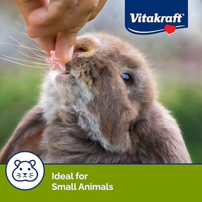 Vitakraft Drops Rabbit Guinea Pig Hamster Treats Watermelon Flavor 4.4 Ounce Bag Delicious Yogurt Enriched Drops with Fruity Flavor Nutritious Small Animal Snacks for Rabbits Guinea Pigs and Hamsters