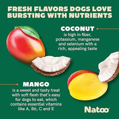NATOO Healthy Treats for Large Dogs, Coconut & Mango Flavor, 8 oz