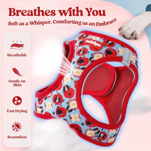 rabbitgoo Dog Harness Small Sized and Leash Set, Step-in Puppy Pet Vest