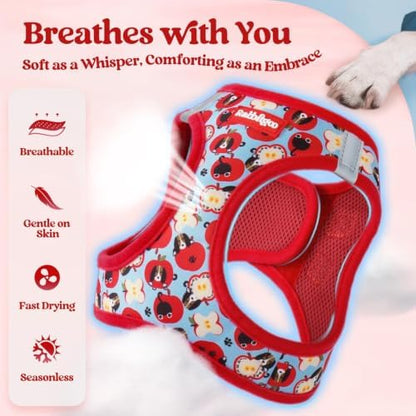rabbitgoo Dog Harness Small Sized and Leash Set, Step-in Puppy Pet Vest