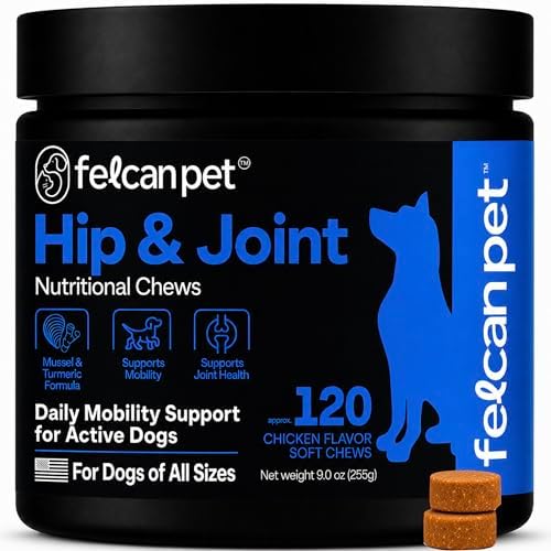 Hip & Joint Chews for Dogs – Glucosamine, Chondroitin, MSM & Green Lipped Mussel – Supports Mobility & Joint Health for Dogs – Natural Dog Joint Supplement – Chicken Flavor, 120 Soft Chews