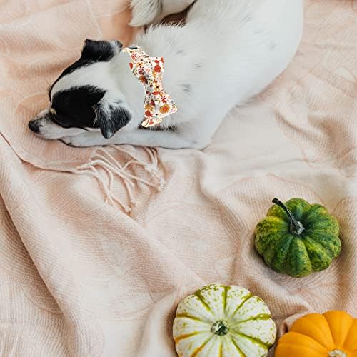 Lionheart glory Premium Dog Collars, Bowtie Dog Collar, Heavy Duty Adjustable Fall Dog Collar for Large Dogs Pumpkin Dog Collar, Collar Dog Bow