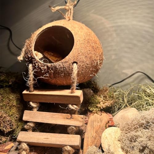 Crested Gecko Coconut Hide with Ladder,Reptile Natural Coco Shell Ladders Geckos Hideout Hut Lizards Hermit Habitat Leopard Gecko Terrarium Plant Accessories for Chameleon Snakes