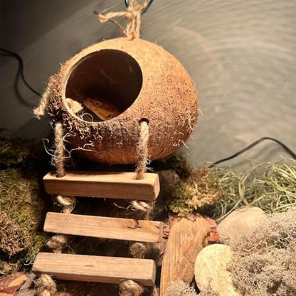 Crested Gecko Coconut Hide with Ladder,Reptile Natural Coco Shell Ladders Geckos Hideout Hut Lizards Hermit Habitat Leopard Gecko Terrarium Plant Accessories for Chameleon Snakes