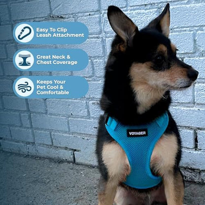 Voyager Step-in Lock Dog Harness - Turquoise, Medium