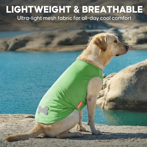 KYEESE 2Pack Dog Shirts for Medium Large Dogs Breathable Mesh Tank Top