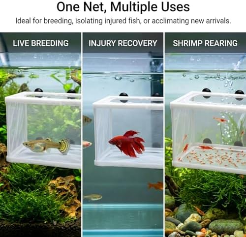 Anxingo 2 Pack Fish Tank Breeder Net,Fish Isolation Breeding Hatching Box, Plastic Frame Hatching Box Separation Net Breeding Box with Suction Cup for Aquarium