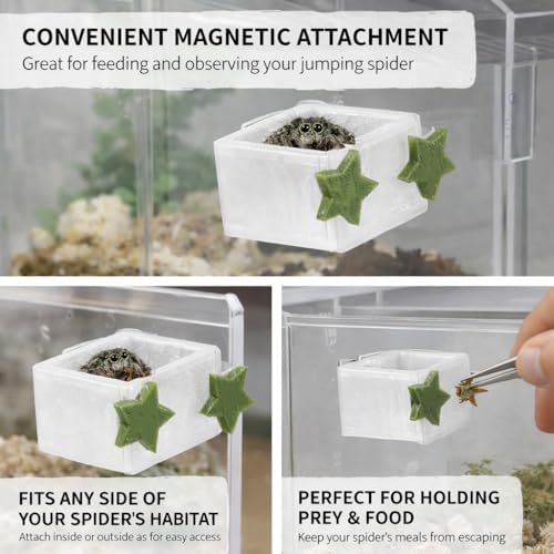 3 Pcs Magnetic Jumping Spider Feeding Dish Jumping Spider Enclosure Accessories Star-Shaped Design Reptile Water Bowl for Other Small Reptiles or Insects