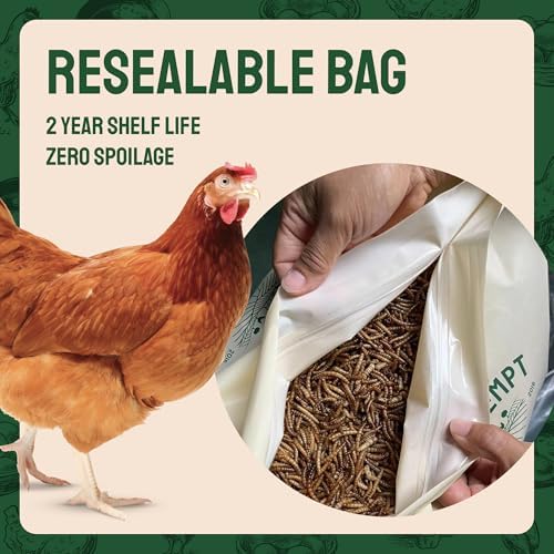 Hatortempt 20lb Dried Mealworms for Chickens & Wild Birds, Chicken Feed
