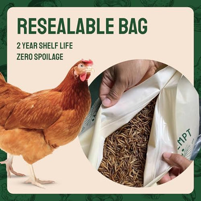 Hatortempt 20lb Dried Mealworms for Chickens & Wild Birds, Chicken Feed