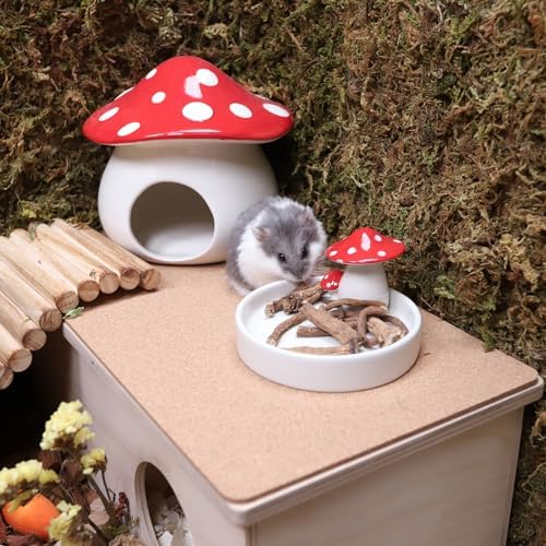 Niteangel Hamster Snack & Treats Toy: Dried Dandelion Roots No Additive