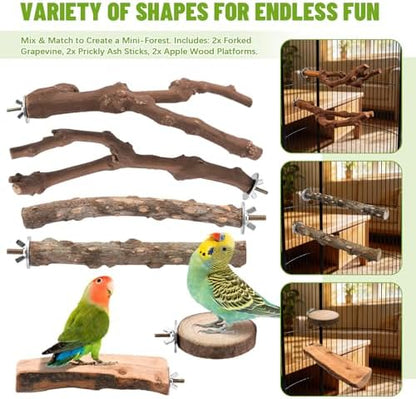 6 Pcs Natural Wood Bird Perch & Platform Set for Cage