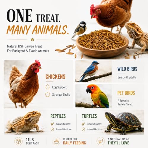 Amzey 11 LB Dried Black Soldier Fly Larvae, High-Calcium Chicken Treats