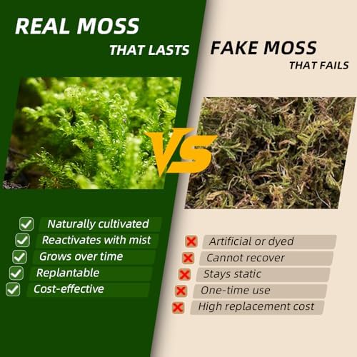 LUCKYRUNES Live Moss 3-Pack for Reptile Enclosures & Terrariums,Fresh Reptiles Substrate