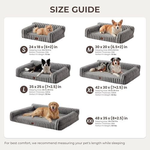 Orthopedic Dog Bed Medium 30x20x8.5” Washable Cover Grey