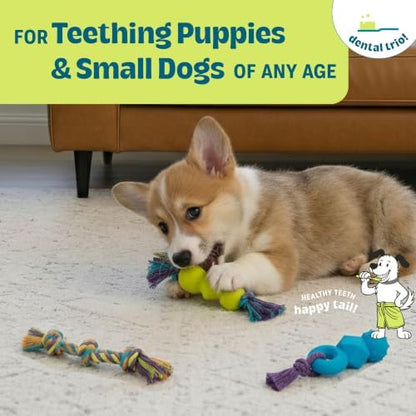 Mini Dentachew Dental Dog Chew Toys, 5-8", 3-Pack