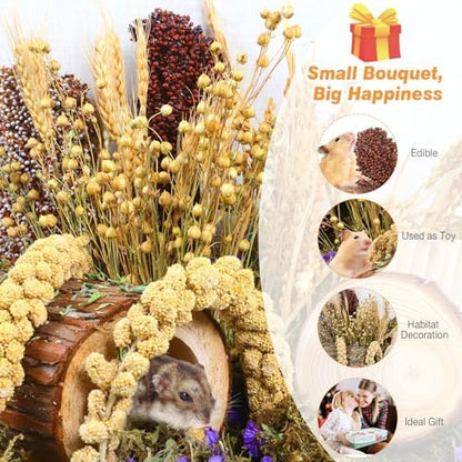 Natural Hamster Bedding, Hamster Herbs Flowers for Hamster Cage Enclosure Habitat Decor Hamster Sprays for Dwarf Syrian Guinea Hamsters Gerbil Degus or Other Small Animals（Grain Version）
