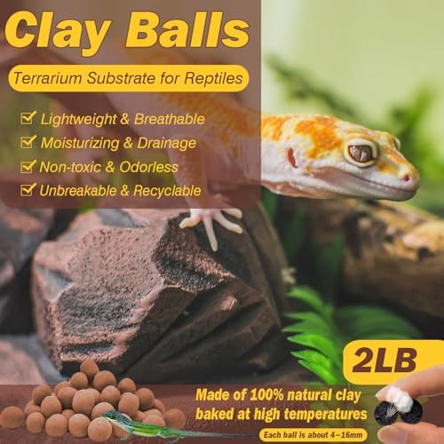 ZeeDix 2 LBS Leca Clay Balls for Reptile & Terrarium Substrate