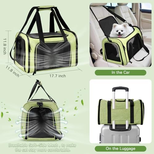 Cat Carrier Soft-Sided & Folding Travel Litter Box, Green