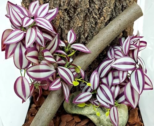 Woyrise Fake Reptile Plants for Terrarium,Tank Decor, Artificial Plant