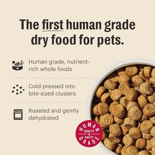The Honest Kitchen Whole Grain Lamb & Superfoods Whole Food Clusters, Human Grade Dry Dog Food for Adult Dogs, Vet-Recommended Nutritional Support for Skin, Coat, Digestion & Wellness, 18 lb Bag