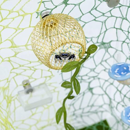 Jumping Spider Enclosure Accessories Set, 6 Pack with Carved Habitat Hideout, 2 Climbing Web, 2 Mushroom Decor, 1 Feeder