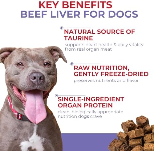 Momentum Carnivore Nutrition Freeze-Dried Beef Liver Dog Treats & Cat Treats – Single-Ingredient, High-Protein, Grain-Free, Nutrient-Rich – Made in USA – 4 oz Bag