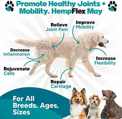 Glucosamine for Dogs Hip and Joint Supplement, 120 Soft Chews with Hemp