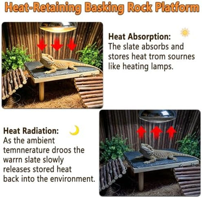 Bearded Dragon Basking Platform with Climbing Ramp,Reptile Basking Rock,XL