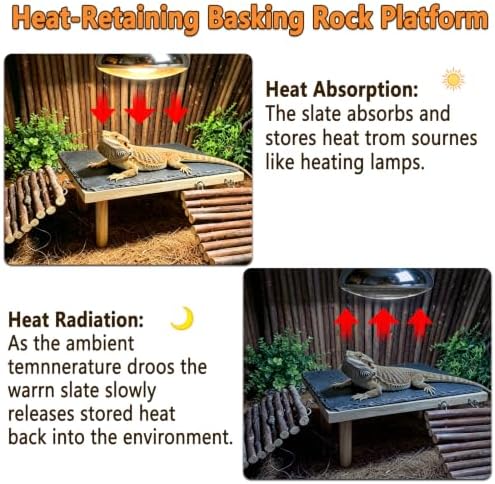 Bearded Dragon Basking Platform with Climbing Ramp,Reptile Basking Rock,S