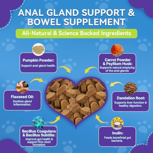 Anal Gland Chews for Dogs, No Scoot for Dogs, Pumpkin Fiber, 200 Soft Chews