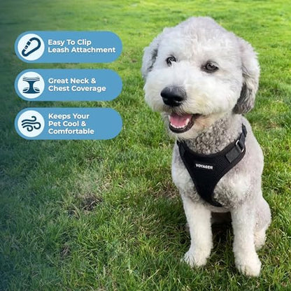 Voyager Step-in Lock Dog Harness - Black, X-Small