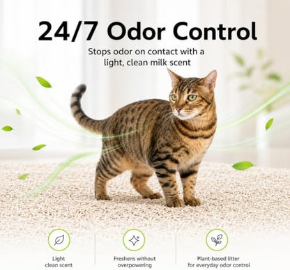 Tofu Cat Litter, 11 lb Plant-Based Cat Litter Made with Pea Fiber & Corn Starch, Low Dust, Fast Clumping, Low Tracking, Light Milk Scent, Flushable in Small Amounts