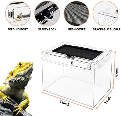 Reptile Growth Mini Reptile Terrarium,12" x 7"x 9" Reptile Tank with Full View Visually Appealing，for Insect，Fish，Tarantula，Hermit crab，Jumping spider，Iguana，Tortoise，Leopard Gecko，Frog，Bearded dragon