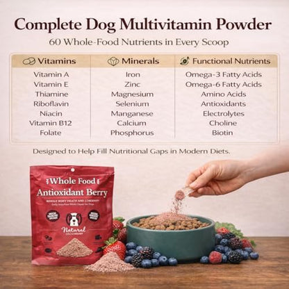 Natural Dog Company Dog Antioxidant Berry Food Topper for Dogs – Superfood Meal Topper & Multivitamin Powder Alternative, Immune Support, All Breeds & Ages Dog Food Seasoning, 8 oz Bag