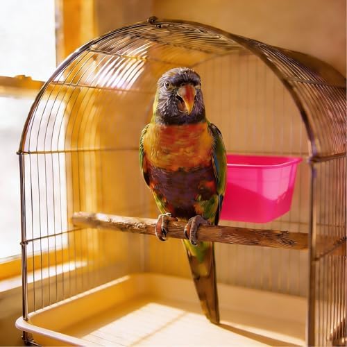 Cage Cups for Chickens 10 Pcs Hanging 25oz Feeder Waterer,Pink Food Bowl Coop Dish Water Dispenser Drinker Grit Container for Rabbits Birds Pigeon Duck and Small Animals