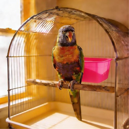 Pet Feeder Bowl, 25oz Hanging Cage Cup Food Dish Water Dispenser Drinker Grit Container for Chicken Birds Pigeon Duck and Small Animals, Indoor Outdoor Poultry Supplies (20, Pink)