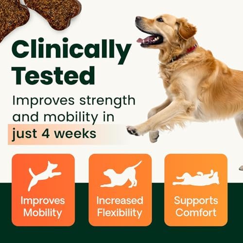 VetriScience Extra Strength Healthy Hip & Joint Chews for Dogs, 60 Count