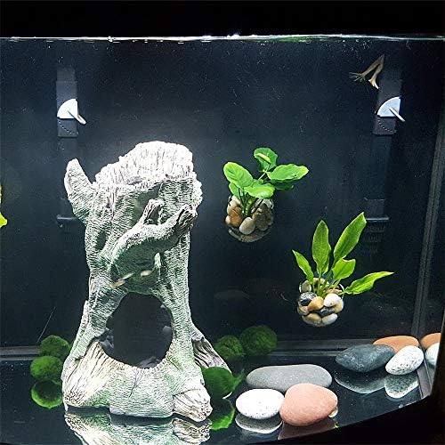 Aquatic Plant Holders Bonsai Pots Clear Aquarium Tanks Bare-Bottom Tanks Shrimp Glass Pots Fish Tanks with 2 Suckers for Home Fish Aquarium Furniture Decor 2 Pcs