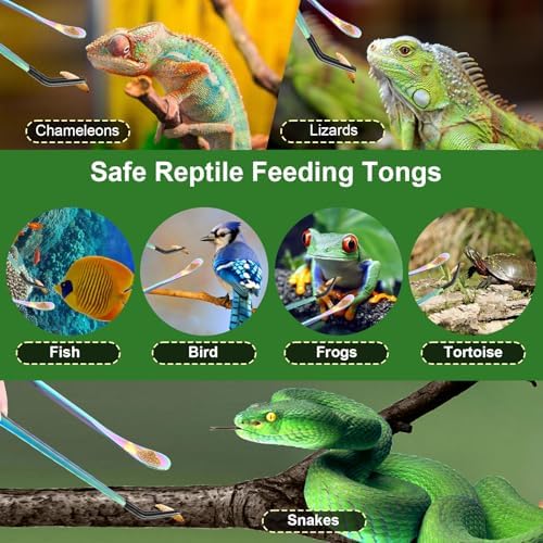 Tongs for Reptile Feeding, LveSunny 3-Pack Stainless Steel with Rubber Tips