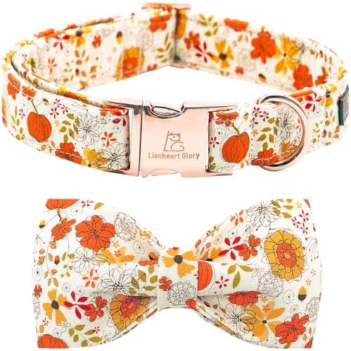 Lionheart glory Premium Dog Collars, Bowtie Dog Collar, Heavy Duty Adjustable Fall Dog Collar X-Small Puppy Pumpkin Dog Collar, Collar Dog Bow