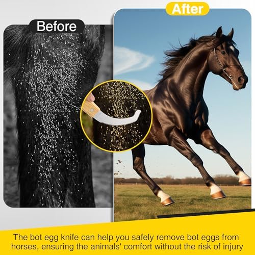 Bot Egg Knife for Horses, Horse Farrier Tool Grooming Bugs, Stainless Steel Blade with Wood Handle, Precision Grooming Tool for Bot Egg Removal