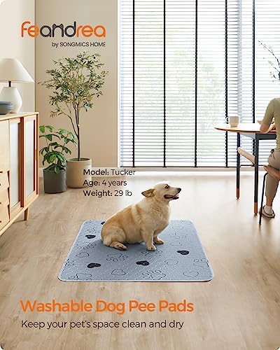Feandrea Washable Pee Pads for Dogs, Waterproof, 48 x 35.8 Inches, 2 Pack